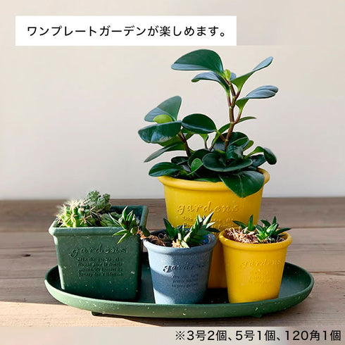 gardens エコプレートオーバル パピエ 400.|s2